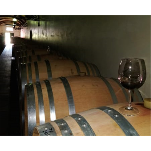 Visita à Adega da Herdade do Menir + Prova de Vinhos | Couteiro Mor - Montemor-