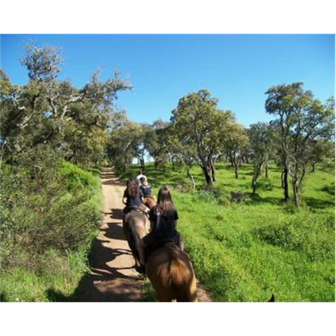 Passeio Privado a Cavalo pelo Campo Alentejano a Dois | Presente Romântico! San
