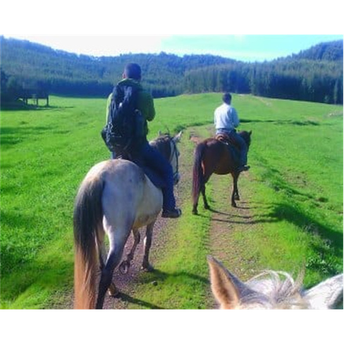 Passeio Privado a Cavalo pelo Campo Alentejano a Dois | Presente Romântico! San