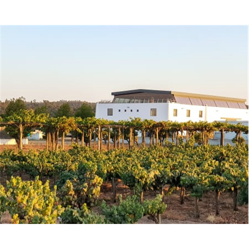 Visita à Adega + Prova de 3 Vinhos Serra Brava para Dois | Herdade Canal Caveir