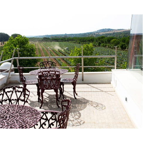 Visita à Adega + Prova de 3 Vinhos Serra Brava para Dois | Herdade Canal Caveir