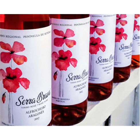 Visita à Adega + Prova de 3 Vinhos Serra Brava para Dois | Herdade Canal Caveir