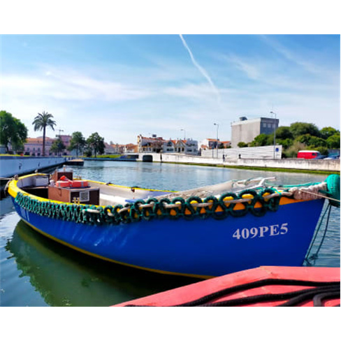 Passeio de Barco pela Ria de Aveiro | Praias da Ria Experiência Indústria ou N