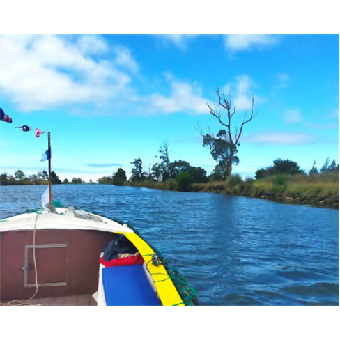 Passeio de Barco pela Ria d... Indústria + Natureza da Ria de Aveiro | 2 Adulto