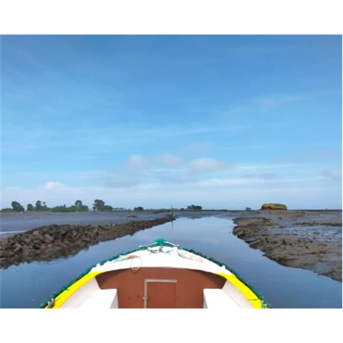 Passeio de Barco pela Ria de Aveiro | Praias da Ria Experiência Indústria ou N