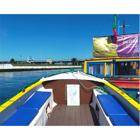Passeio de Barco pela Ria de Aveiro | Praias da Ria Experiência Indústria ou N