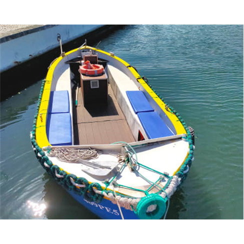 Passeio de Barco pela Ria de Aveiro | Praias da Ria Experiência Indústria ou N