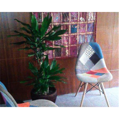 Massagem de Relaxamento Aromaterapêutica | Matosinhos