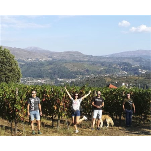 Visita e Prova de Vinhos em Arcos de Valdevez na Quinta de Santa Marinha