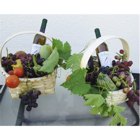 Visita e Prova de Vinhos em Arcos de Valdevez na Quinta de Santa Marinha