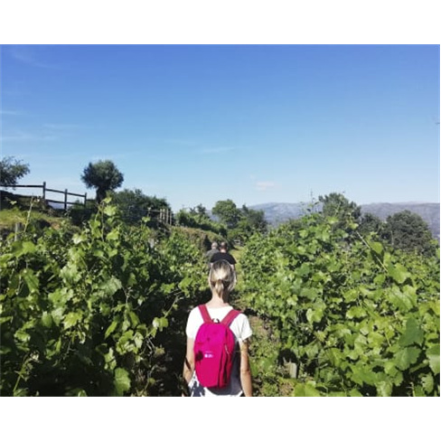 Visita e Prova de Vinhos em Arcos de Valdevez na Quinta de Santa Marinha
