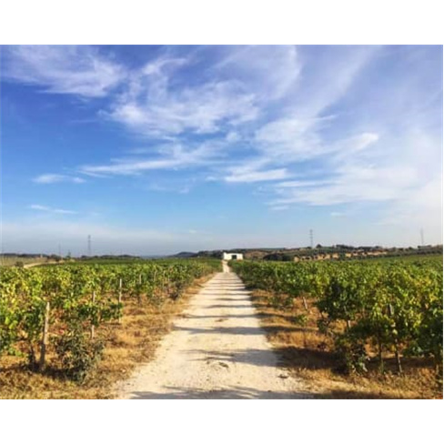 Sabores e Vinhos Regionais para Dois | Quinta Monteiro de Matos - Santarém