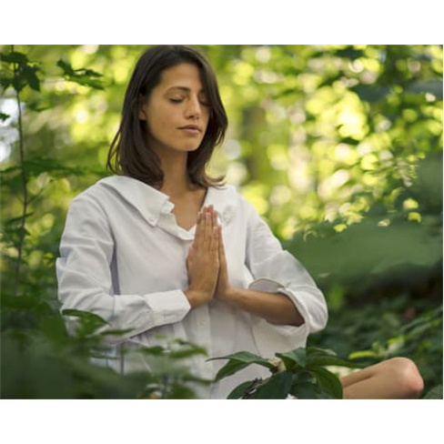 Curso de Reiki com Certificado - 4 Horas  | Lisboa