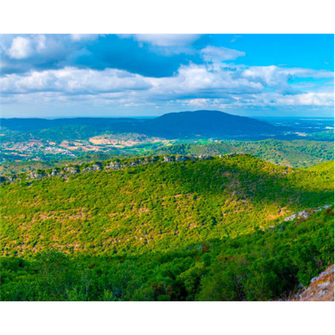 | 2 Horas | Desafie os Limites! Circuitos de Aventura na Serra da Arrábida