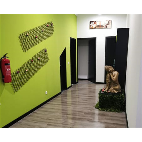 Presente Relax! Massagem | Templo de Gaya - Aveiro Massagem com Pedras na Coluna