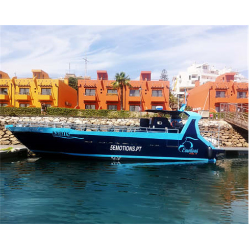 Passeio de Barco às Grutas ...emotions - Portimão Bilhete de Adulto | Época A