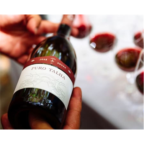 Visita Guiada + Prova de 3 Vinhos & Degustação de Produtos Regionais para Dois