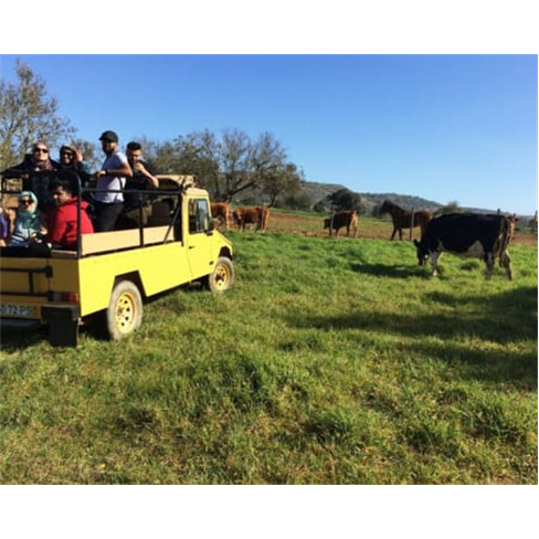 Jeep Safari com Guia para Dois | Magnibravura - Albufeira Jeep Safari | Meio Dia