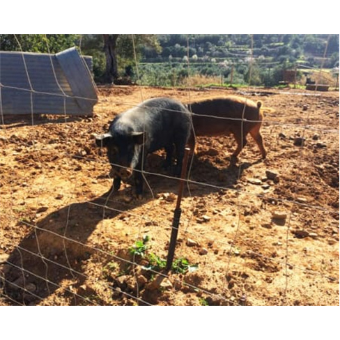 Safari de Jipe em Albufeira | Guia e Almoço Incluídos (48 caracteres)