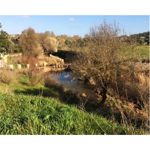 Safari de Jipe em Albufeira | Guia e Almoço Incluídos (48 caracteres)