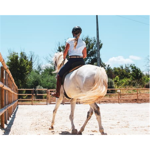 Experiência a Cavalo na Qui... Santa Comba Dão Passeio a Cavalo | 2 Pessoas |