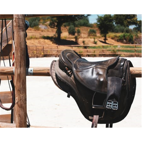 Experiência a Cavalo na Quinta Lusitânia | Santa Comba Dão Baptismo Equestre