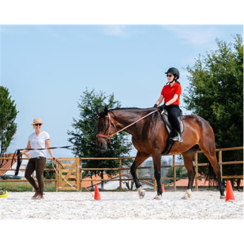 Experiência a Cavalo na Quinta Lusitânia | Santa Comba Dão Baptismo Equestre