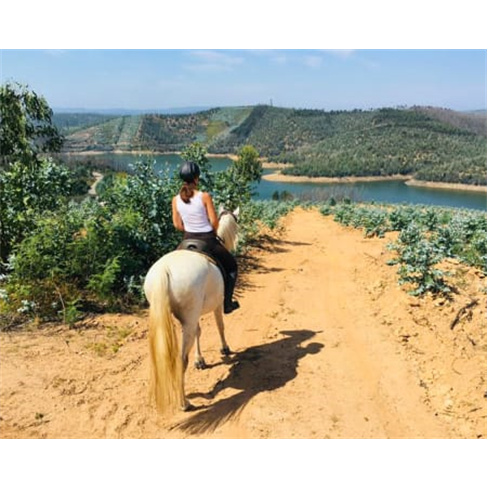 Experiência a Cavalo na Qui... Santa Comba Dão Passeio a Cavalo | 2 Pessoas |