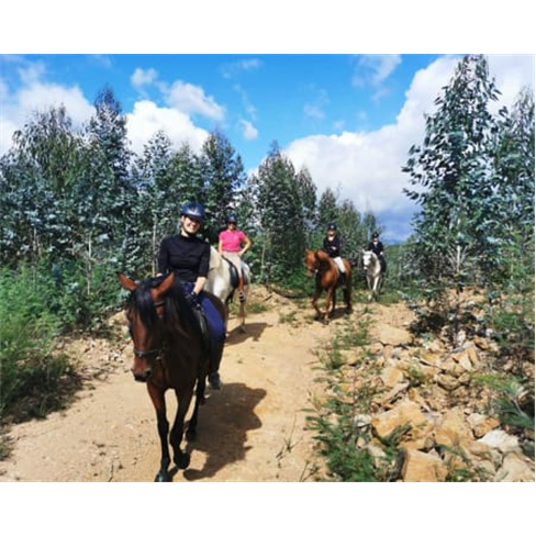 Experiência a Cavalo na Quinta Lusitânia | Santa Comba Dão Baptismo Equestre