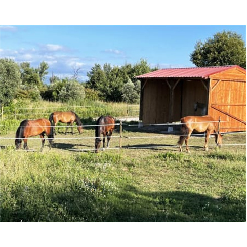 Experiência a Cavalo na Qui... Santa Comba Dão Passeio a Cavalo | 2 Pessoas |