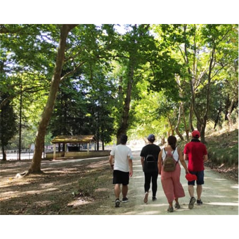 Descubra a Floresta Encantada da Tapada Nacional de Mafra