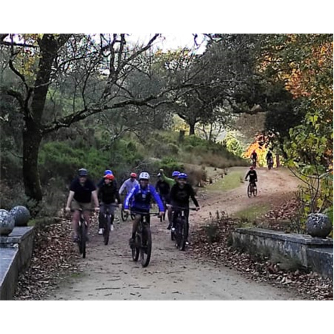 Passeio de Bicicleta na Tapada Nacional de Mafra em Família | Até 14 Km | Aven