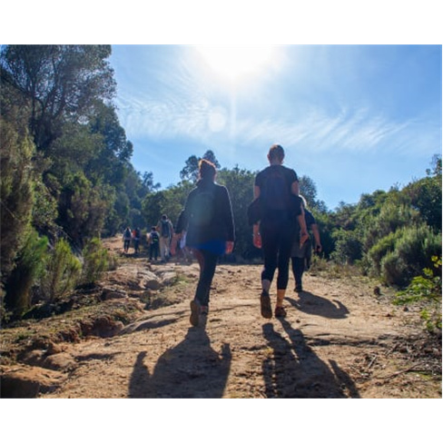 Descubra a Floresta Encantada da Tapada Nacional de Mafra