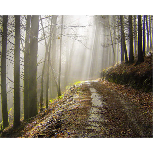 Aventura a Dois na Serra da Lousã: Passeio de Jipe + Caminhada + Visita às Ald