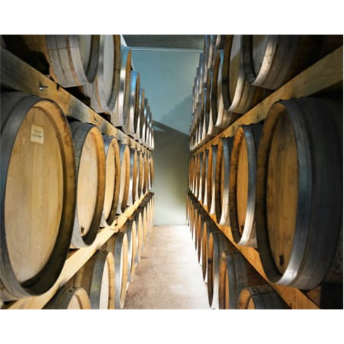 Visita Guiada + Prova de Vinhos & Degustação de Produtos Regionais | Adega de