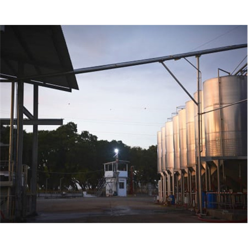 Visita Guiada + Prova de Vinhos & Degustação de Produtos Regionais | Adega de