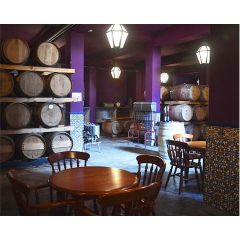 Visita Guiada + Prova de Vinhos & Degustação de Produtos Regionais | Adega de