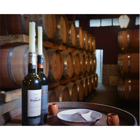Visita Guiada + Prova de Vinhos & Degustação de Produtos Regionais | Adega de
