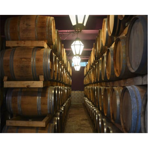 Visita Guiada + Prova de Vinhos & Degustação de Produtos Regionais | Adega de