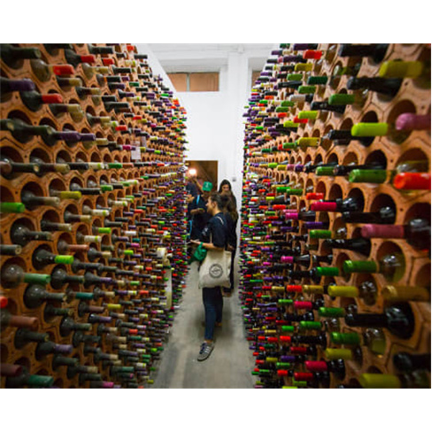 Visita Guiada + Prova de Vinhos & Degustação de Produtos Regionais | Adega de