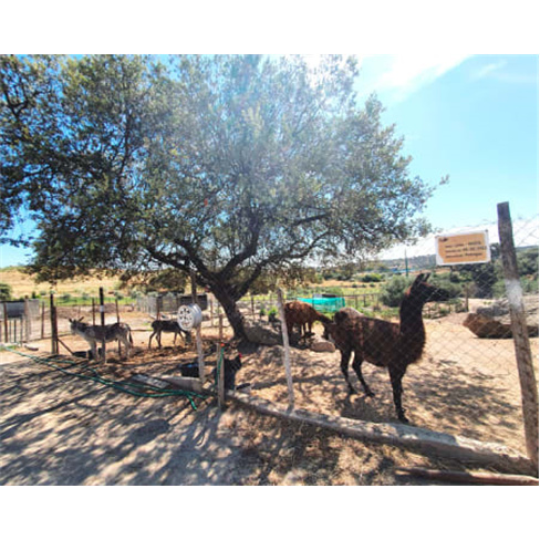 Experiência Rural na Quinta Ecológica de Pedrógão | Alqueva Rural Camping Pa