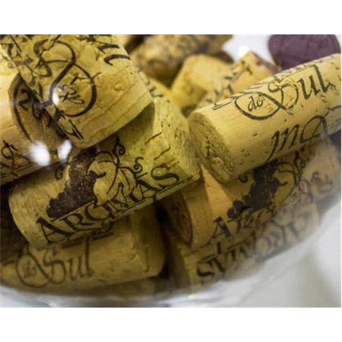 Visita às Vinhas e Adega + ...ara Dois | Aromas do Sul - Évora Prova de 4 Vinh