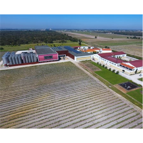 Visita às Vinhas e Prova de... Casa Ermelinda Freitas Experiência para 2 Pesso