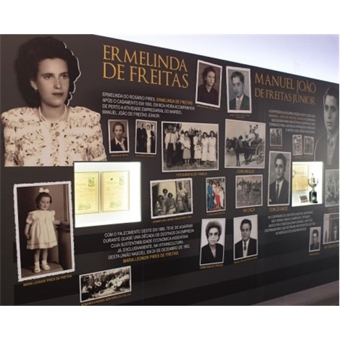 Visita às Vinhas e Prova de... Casa Ermelinda Freitas Experiência para 2 Pesso