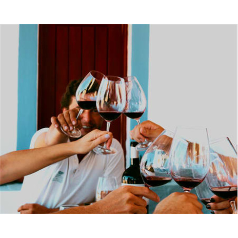Visita à Quinta + Prova de ... Visita & Prova Cega | 5 Vinhos + Tapas | 1 Pesso