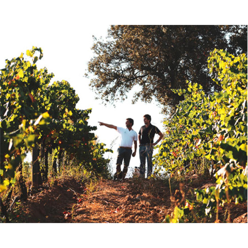 Visita à Quinta + Prova de ... Visita & Prova Cega | 5 Vinhos + Tapas | 1 Pesso