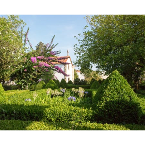 Visita ao Museu + Prova Comentada de Vinhos | Quinta das Cerejeiras - Bombarral