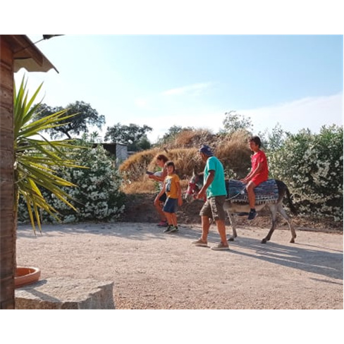 Experiência Rural na Quinta Ecológica de Pedrógão | Alqueva Rural Camping Pa