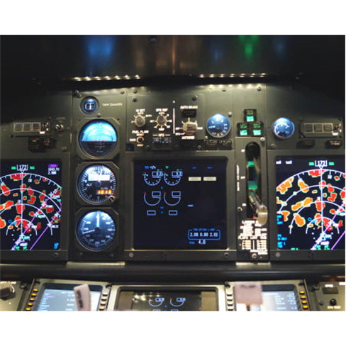 Venha Pilotar um Airbus A32...em Simulador de Voo | Segunda a Sexta-feira | 1h30