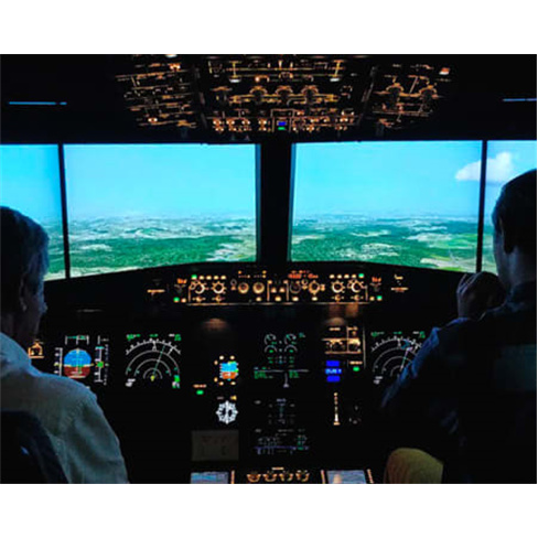 Venha Pilotar um Airbus A32...em Simulador de Voo | Segunda a Sexta-feira | 1h30